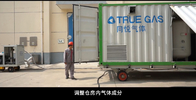 Container skid mobile nitrogen gas generator for grain depot with nitrogen purity 99.5%